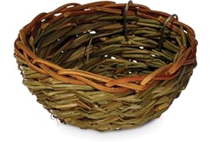 PH PREVUE HENDRYX Prevue Pet Products BPV1150 Canary Twig Birds Nest, 3-Inch
