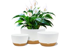 Koalaime 8/10/12 Inch Pots for Indoor Plants, Large Self Watering Planters with Drainage and Saucers, Plastic Outdoor Flower Pot, Set of 3, White