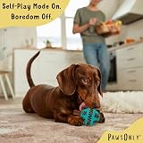 PawsOnly Interactive Dog Treat Toy Small Blue Puzzle Feeder Enrichment view 3