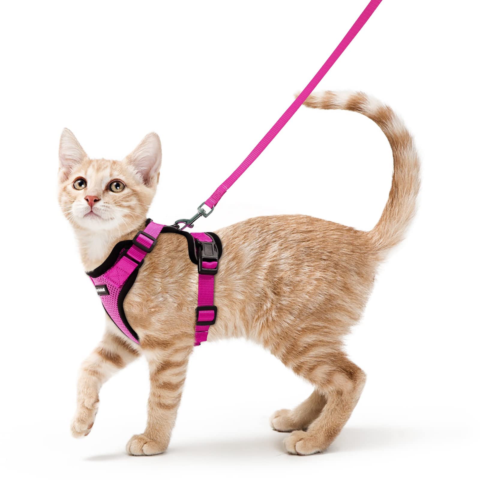 Photo 1 of rabbitgoo Cat Harness and Leash for Walking, Escape Proof Soft Adjustable Vest Harnesses for Cats, Easy Control Breathable Reflective Strips Jacket, Rose Red,S