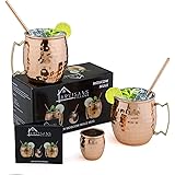 ARTISANS VILLAGE Moscow Mule Copper Mugs: Set of 2 glasses (16 oz) with 2 Cocktail Straws, and 1 Shot glass