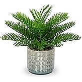 DILATATA Faux Plant Indoor in Ceramic Pot 13" Artificial Potted Sago Palm Fake House Plants for Desk Office Bathroom Garden Decoration