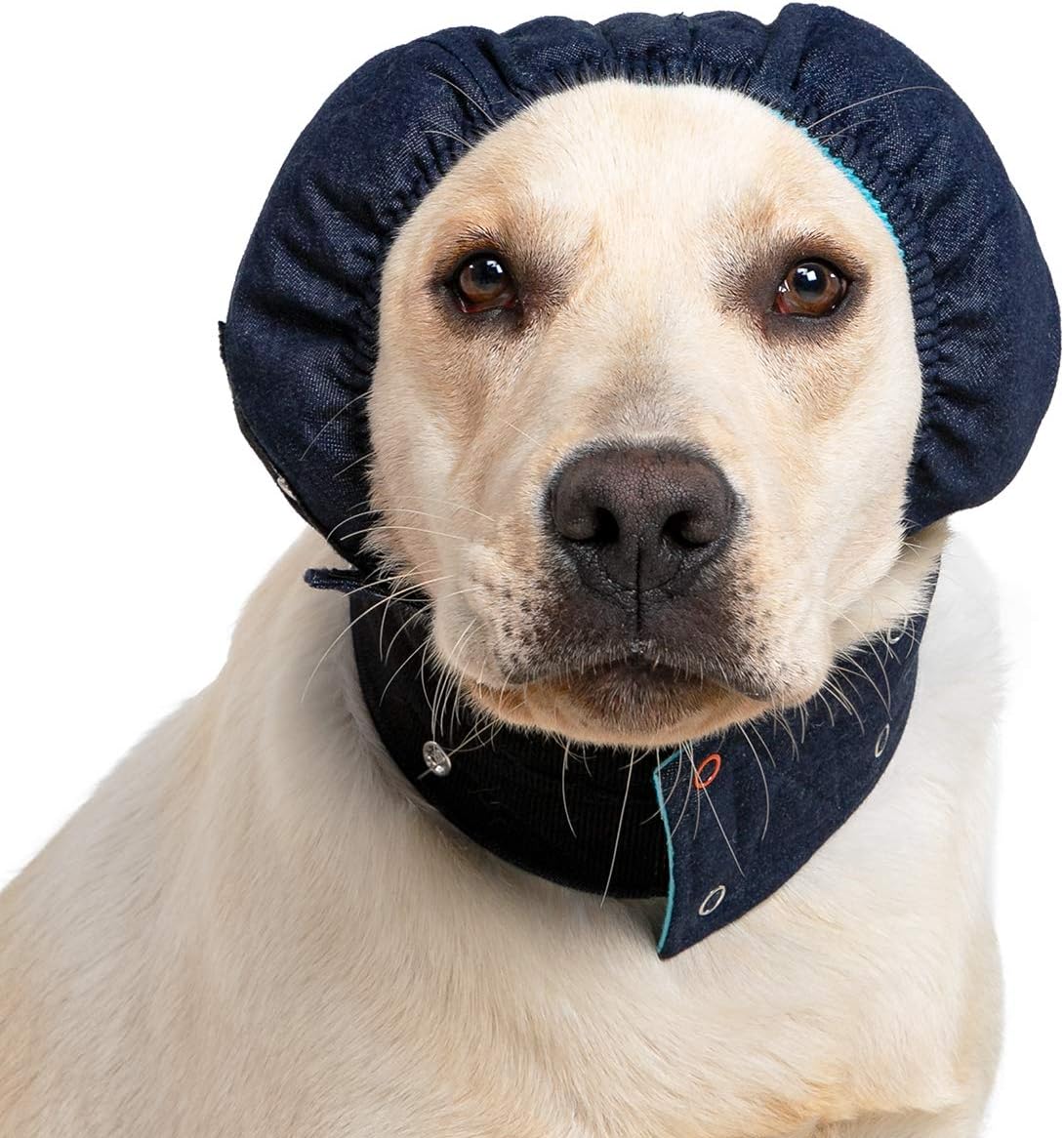 MPS Medical Pet Shirt, Head Cover for Dogs Large, Blue - Image 3