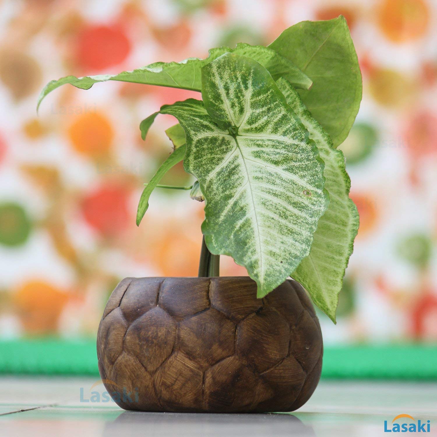 Lasaki Football Small Ceramic Pots For Indoor Plants Planters Flower Pots Gamla For Indoor Outdoor Balcony Home Garden Office Decor Succulent Pot Color Antique D 11 Cm H 6 5 Cm Amazon In Garden Outdoors