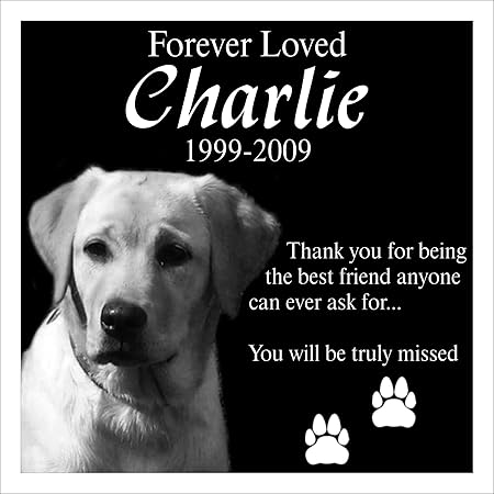 headstone for dog amazon