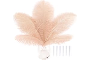 SOGUGOM Champagne Craft Ostrich Feathers - 30PCS Total Length 9-11 inch Small Ostrich Feathers Kit for Wedding Decorations, Hats and DIY Projects(Champagne)