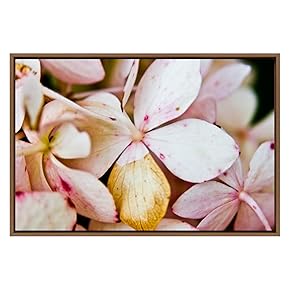 SIGNWIN Framed Canvas Wall Art Blush Pink Magnolia...