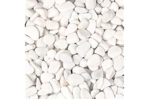 Ausluru 5lbs White Natural River Rocks, Polished Pebbles for Plants Garden, 0.3-0.8 inch Decorative White Stones, Ideal for Fish Tank, Vases, Crafting, Home Decor and Garden Landscaping Rocks,White