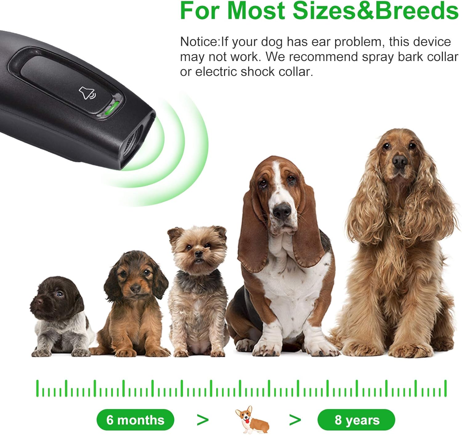 best indoor bark control