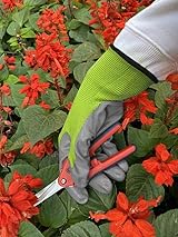 Spear & Jackson Kew Gardens Seeding & Weeding Gloves Large view 5
