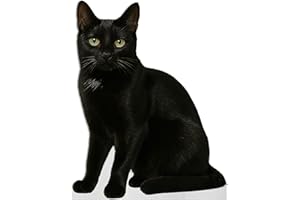 AMAZING ITEMS Black Cat Life Size Standee - 2FT Freestanding Coroplast Cutouts | Pets Animal Standup Photo Booths, Birthday & Halloween Decorations
