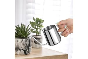 Roamall Small Watering Can for Indoor Plants - 12 oz Mini Indoor Watering Can with Long Spout Gooseneck Rust-Proof Stainless 