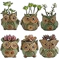 Ogrmar 6Pack Owl Plant Window Boxes Cute Owl Flower Pot/Modern Ceramic Succulent Planter Pots/Tiny Flower Plant Containers An