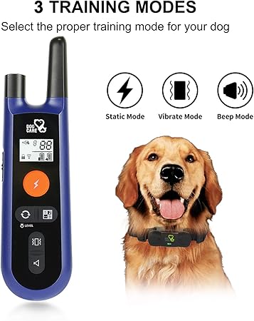 best training collar for golden retriever