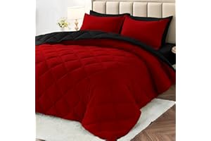 MUXHOMO 7 Pieces Queen Comforter Set, Reversible Bed in a Bag Queen Size, All Season Queen Bedding Set with Comforter, Flat S