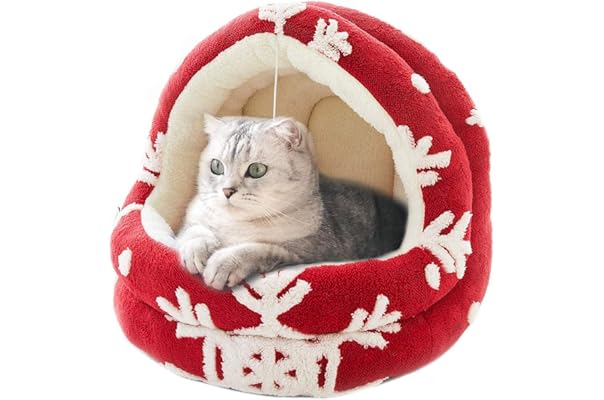 amazon prime cat beds