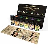 ecodrop essential oils Aromatherapy Set - 10ml Bottles | Pure & Natural Therapeutic Grade Peppermint, Sweet Orange, Eucalyptu