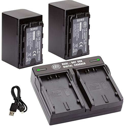 BM Premium VW-VBD58 Batteries and Dual Bay Charger for Panasonic