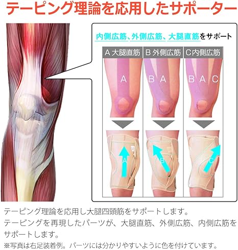 Amazon Bonbone 膝サポーター ファンクションニーoa ベージュ フリー Bonbone ボンボン サポーター