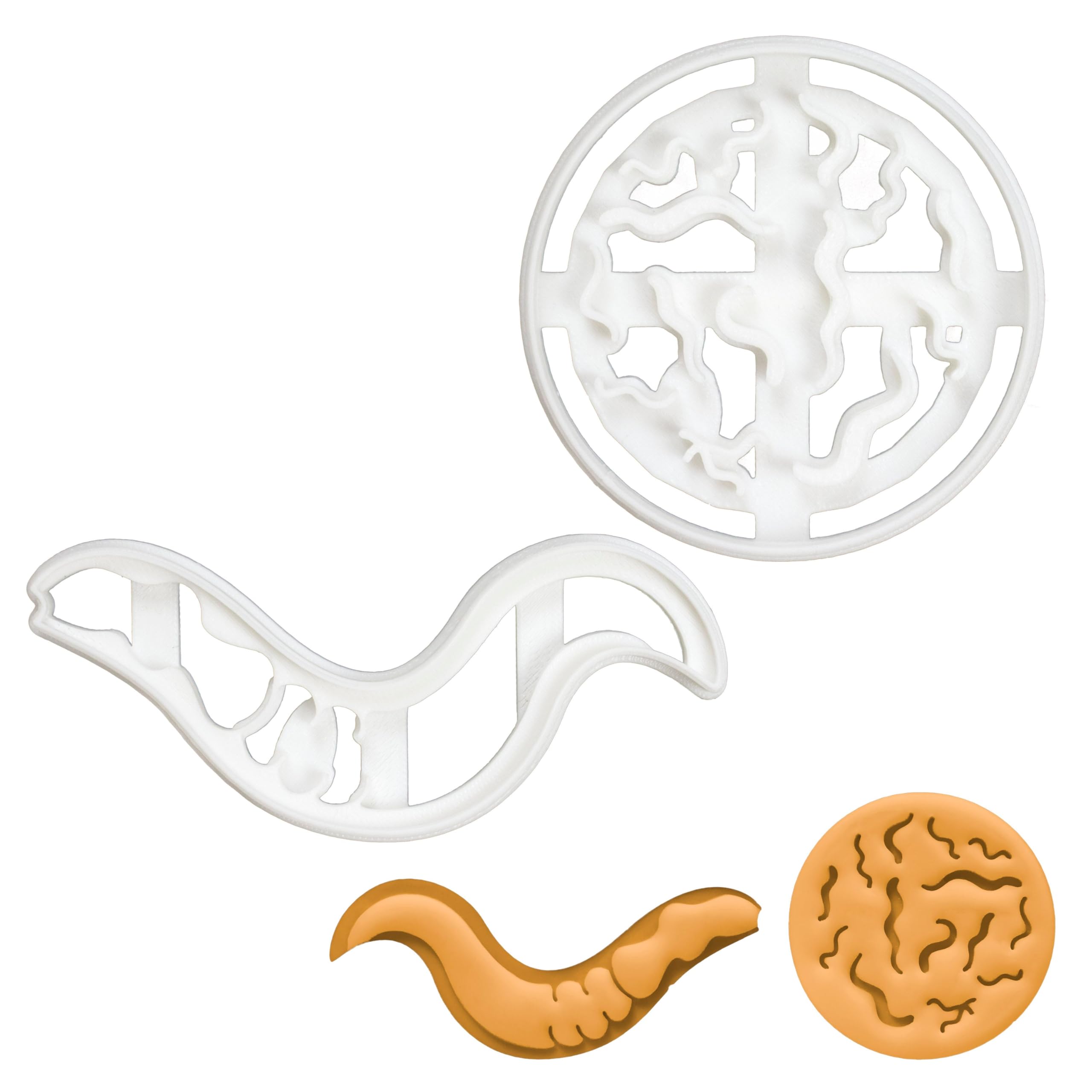 BAKERLOGY Set of 2 C. Elegans (Caenorhabditis Elegans) Cookie Cutters - Detailed Biscuit Cutter Design for Baking and Crafts, Ideal on Fondant, Dough, Clay
