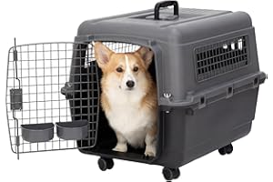Sport Pet Medium Airline Plastic Dog Kennel