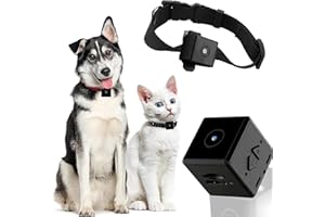 DAIFAC No WiFi Needed Pet Collar Camera & Cat Collar Camera with Video Records Pet Supplies Mini Body Camera Nanny Cam for Home Security Indoor Wireless