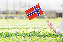 50 Pack Norway Norwegian Flags on Stick - Small