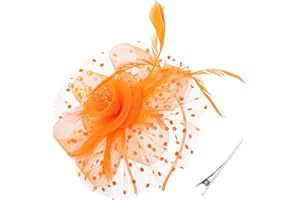 AQOKKA Fascinators Hats for Women Flower Tea Party Hats for Women Fascinator Headband and Clip Kentucky Derby Hats for Women