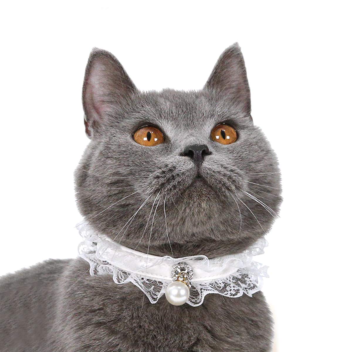 Josopa Pet Collar, Cat Choker Pet Kitten Puppy Pearl Pendant Collar Choker Necklace for Wedding, Neck 22cm-32cm(White)