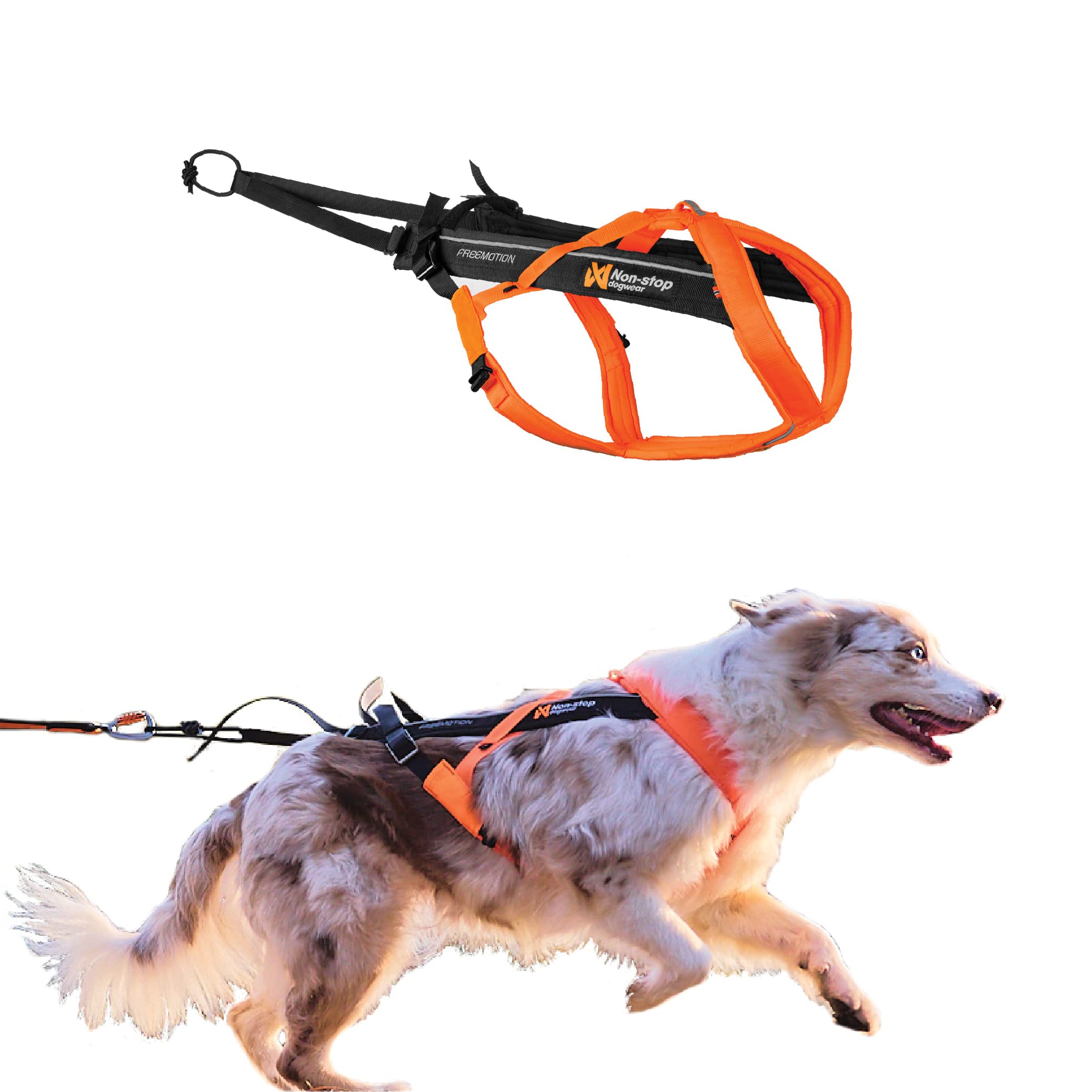 Non-stop dogwear Freemotion harness 5.0 Dog Pulling Harness for Sports like Running, Biking and Skiing with Dogs, Professional Adjustable Dog Harness, Orange/Black, Size 3