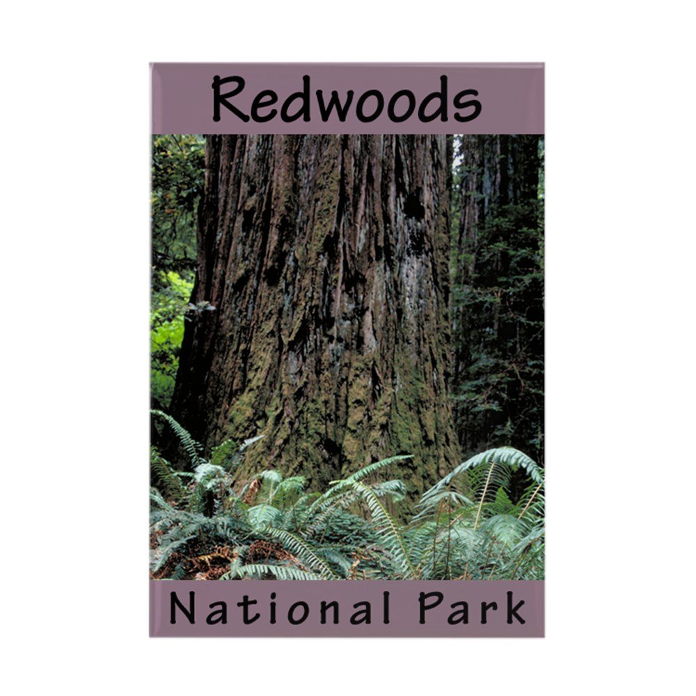 Best Redwood Refrigerator Magnets