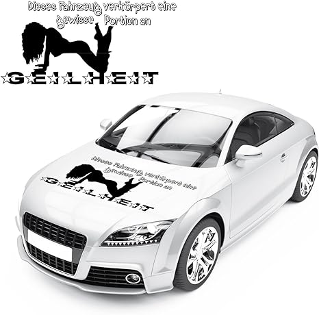 Portion Geilheit Fahrzeug Sticker Pin Up Spruche Frau Autotattoo Aufkleber Coole Texte Kb091 Amazon De Baumarkt