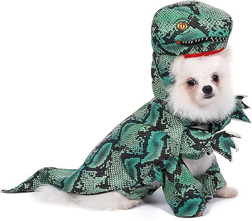 dog dinosaur hoodie