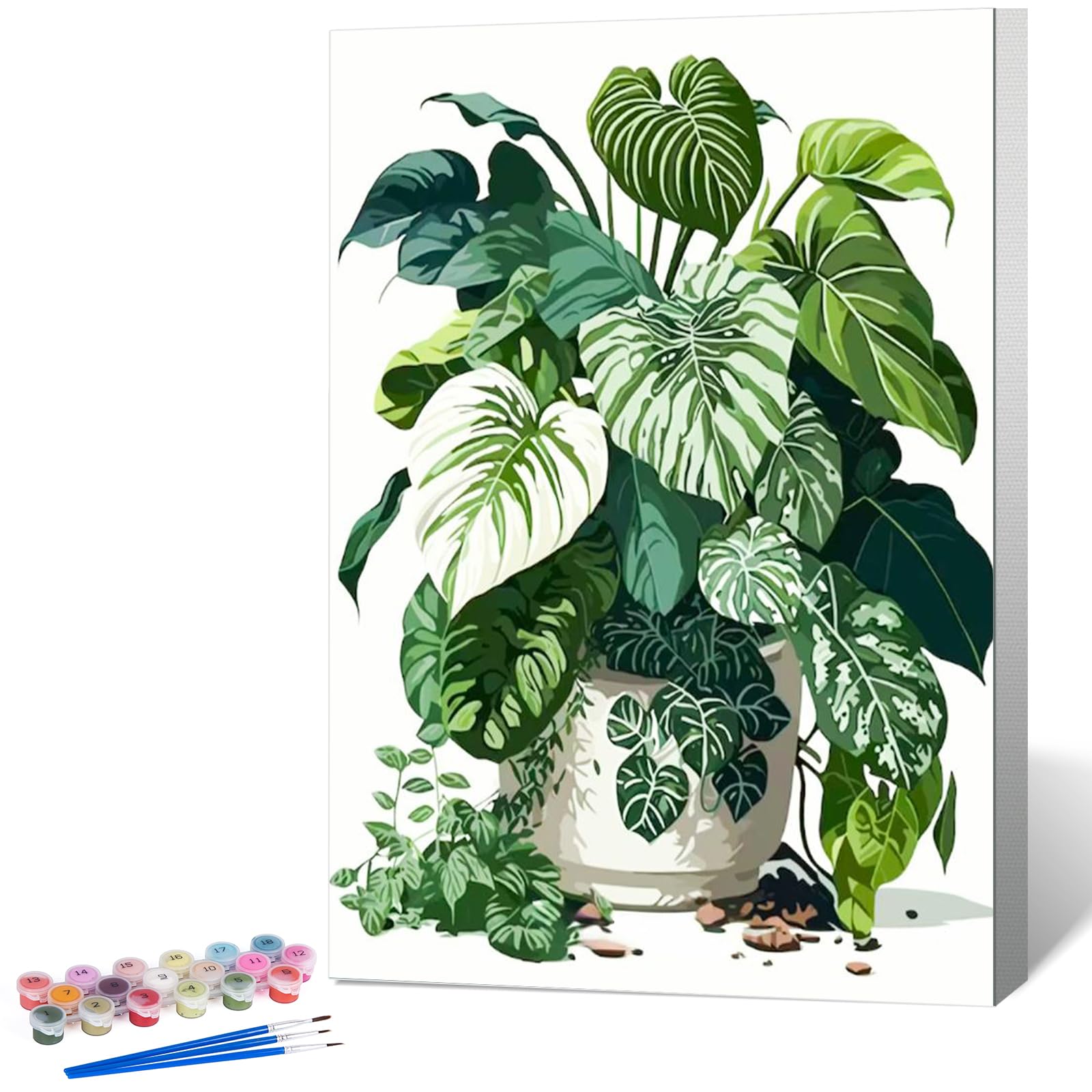 Paint by Numbers for Adults with Frame Plant, Painting by Numbers for Adults with Frame Green Plant, DIY Acrylic Framed Adult Paint by Number Canvas Kits, Perfect for Home Decor Gift 8 X 12 Inch