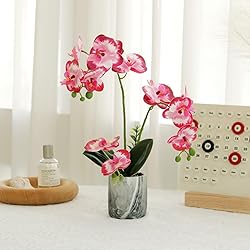 Wenhuidr Red Pink Fake Orchids Flowers in Pot