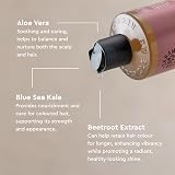 Urtekram Colour Preserve Shampoo Wild Rose 250 ml Vegan Organic Natural view 4