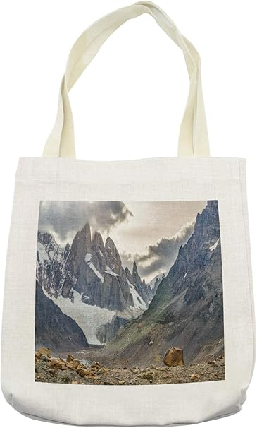 patagonia reusable bag