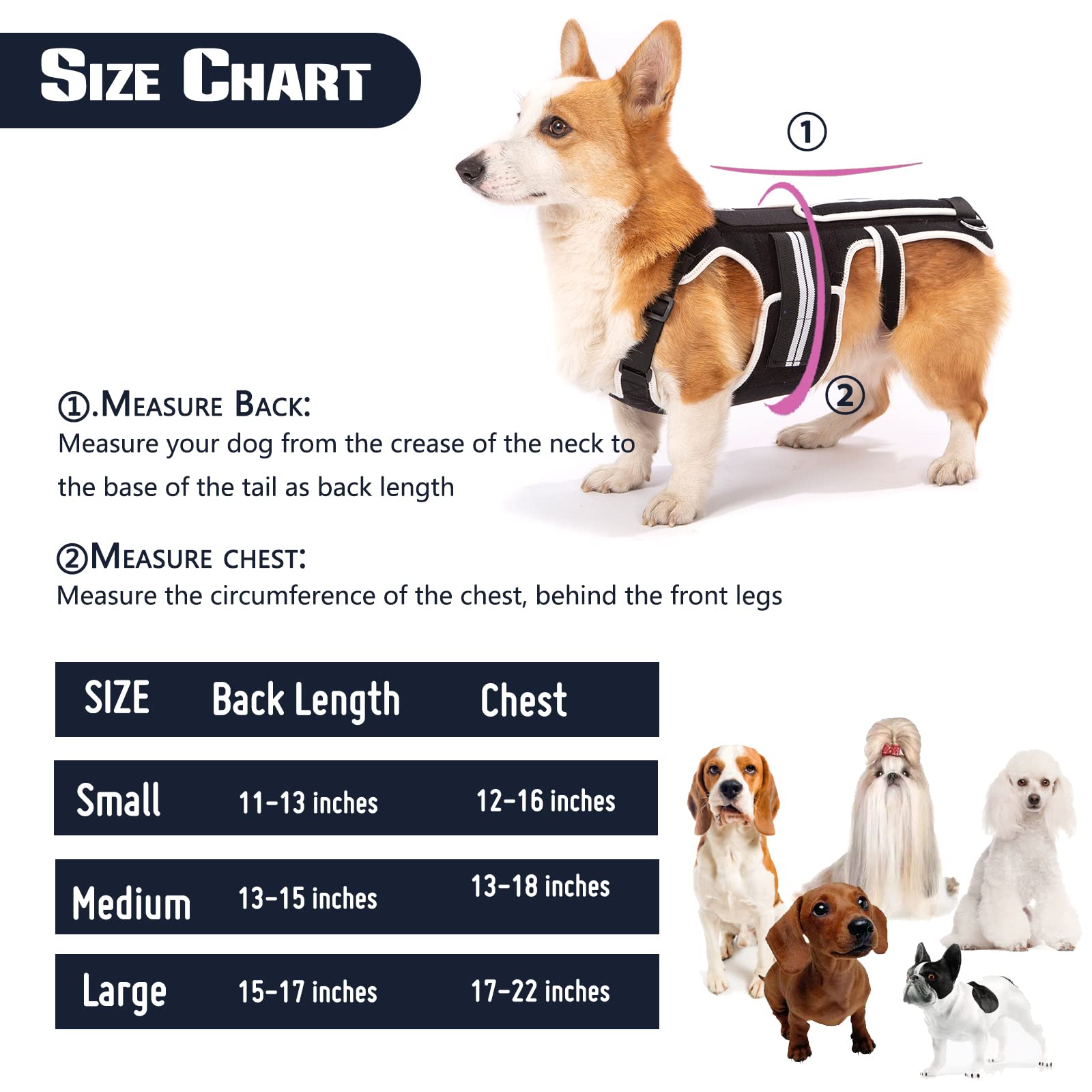 LufeLux Back Brace for Dogs with IVDD, Arthritis, Luxating