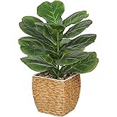 Briful Fake Plants Potted Fiddle Leaf Fig Artificial Plants Indoor Realistic Greenery Faux Plants in Square Plastic Rattan Baskets for Home Decor Farmhouse Office Weddings