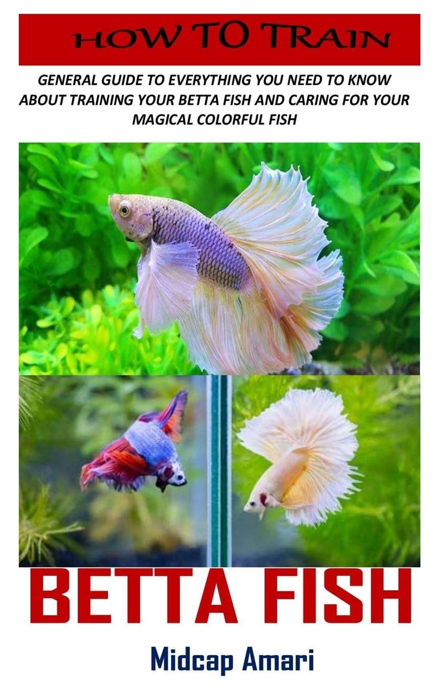trained betta fish