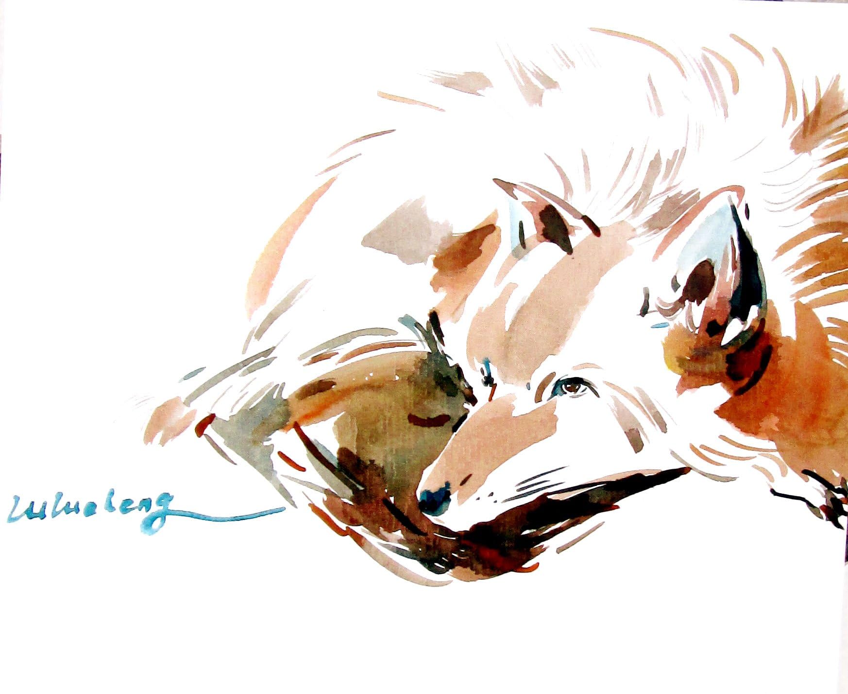 Fox watercolour Fox painting Fox sketch Fox illustration Wild animals painting Aniaml painting Asian fox art Fox card