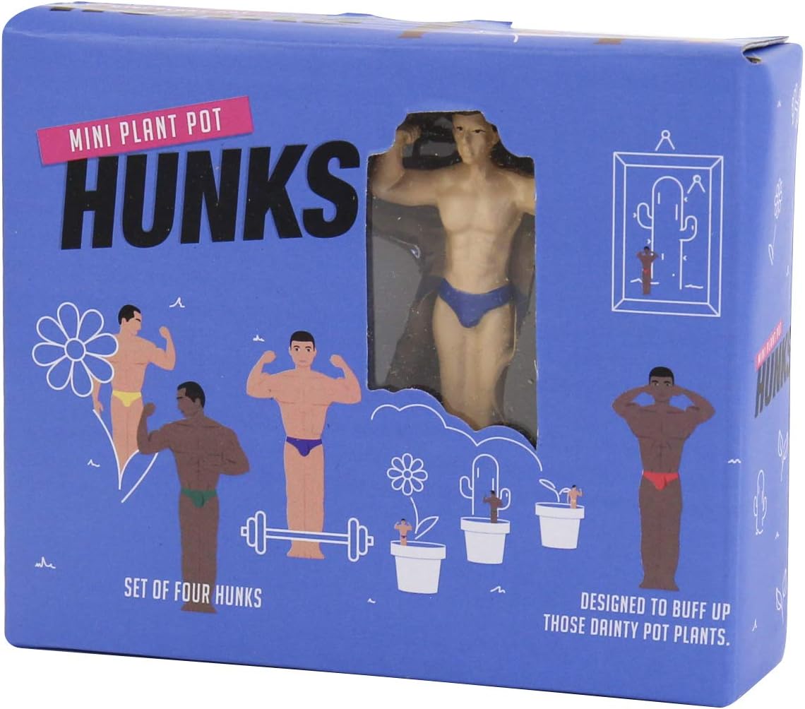 Gift Republic Mini Plant Pot Hunks, Multi, Multicolor