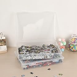 BTSKY Clear Plastic Storage Box with Flap