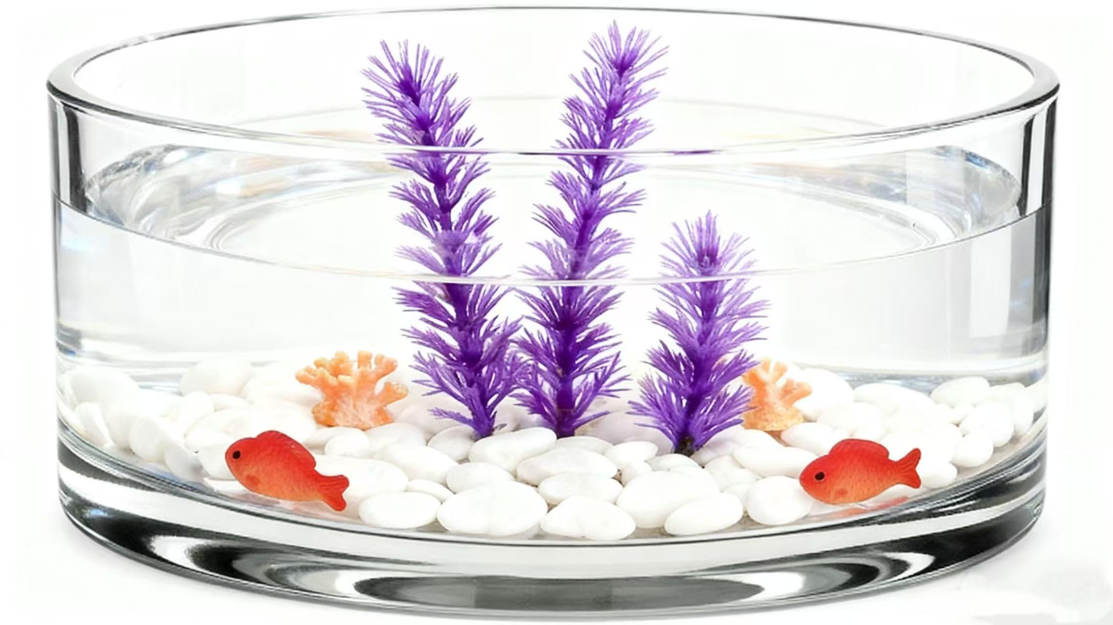 Artibetter Large Glass Vase Bowl Terrarium Succulent Planter: Flower Glass Vase Air Plant Display Decorative Centerpiece Floral Container Fish Bowl for Home Wedding 20x20cm Containers — image 1