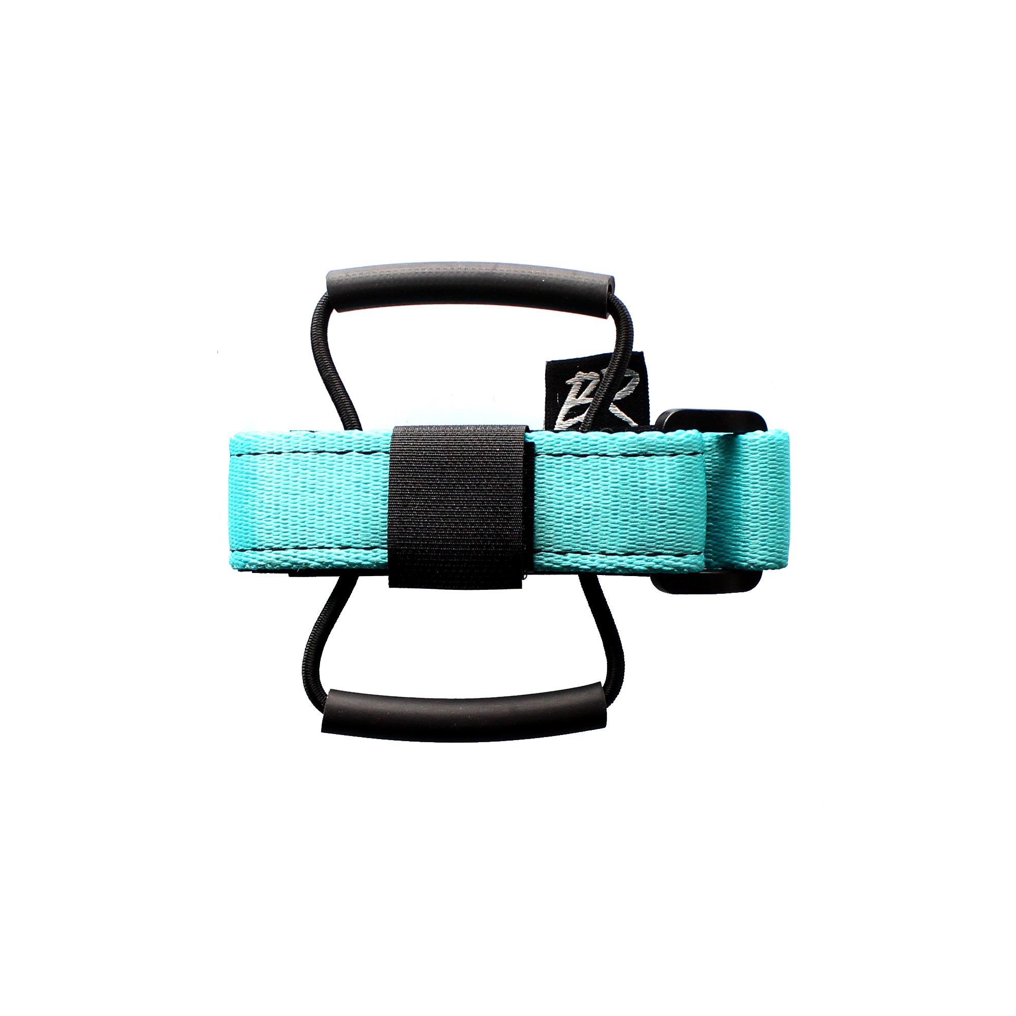 Backcountry Research Unisex Adult Race Strap - Turquoise, One Size