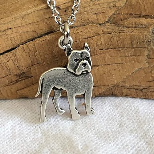 necklace for pitbull