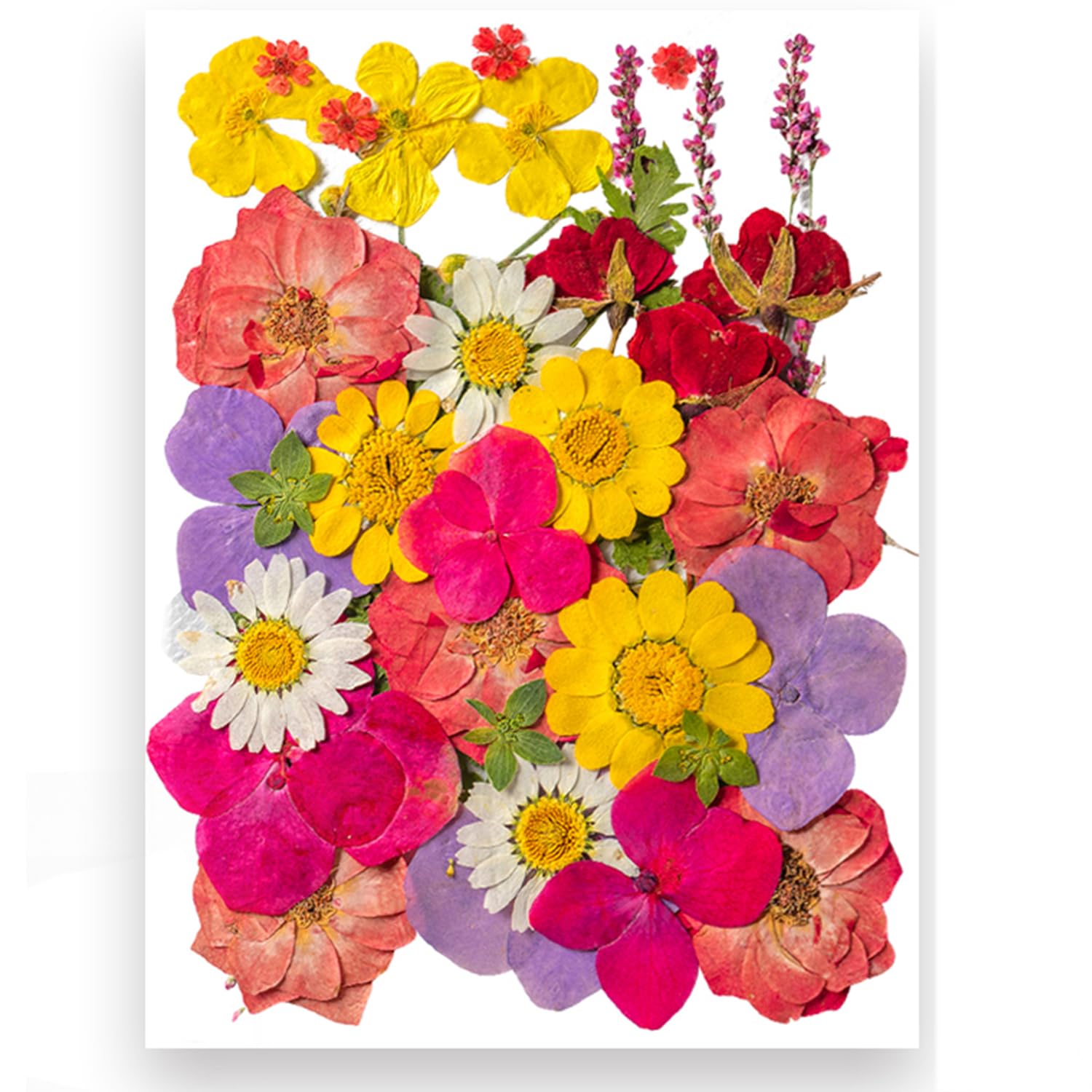 YoothBro 35pcs Dried Pressed Flowers for Resin Molds,Real Natural Pressed Flowers for DIY Art Crafts,Candle Making, Nails Décor,Soap Making, Phone Case