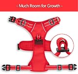PoyPet No Pull Dog Harness Reflective Soft Padded Vest S Red Trim view 6