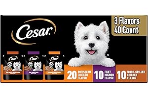 Cesar Filets in Gravy Wet Dog Food Rotisserie Chicken Flavor, Filet Mignon Flavor, and Wood-Grilled Chicken Flavor Variety Pack, 1.76 oz. Mini-Pouches, 40 Pack