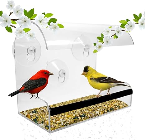 Amazon Com Window Bird Feeder Bird Feeders For Outside